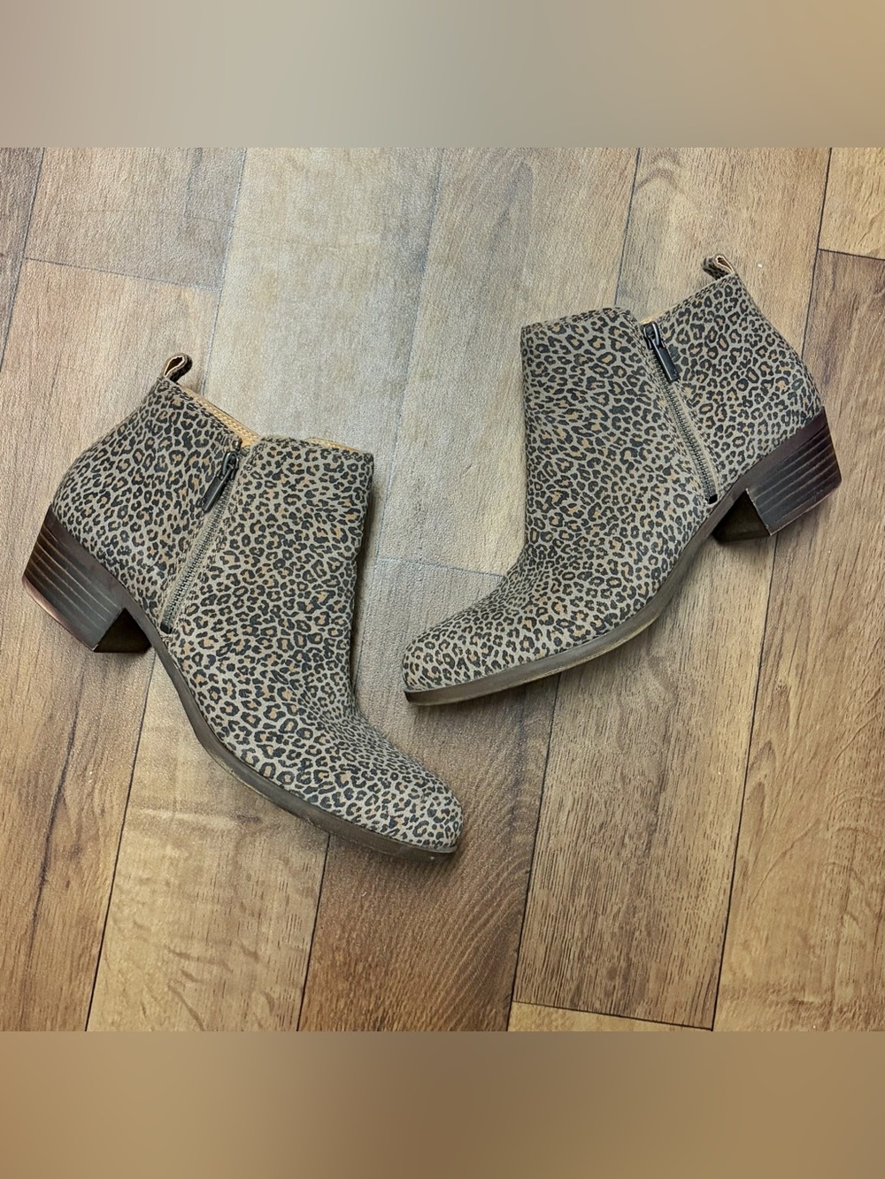 Lucky Brand Leopard Print Ankle Booties in Taupe and Black